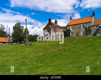 dh North Yorkshire Moors DANBY NORTH YORKSHIRE Village Hotel traditionell House Villages Green york Moor englische Häuser yorks Stockfoto