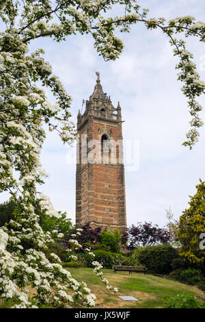 Cabot Tower ca. 1897 von blühenden Weißdorn (Rosa moschata) Bush im Frühjahr eingerahmt. Brandon Hill Park, Bristol, Avon, England, Großbritannien, Großbritannien Stockfoto