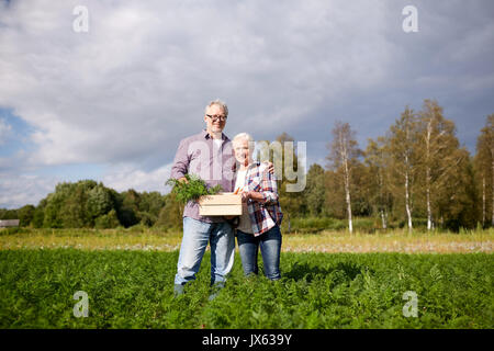 Älteres Paar mit Box Kommissionierung Karotten auf Bauernhof Stockfoto