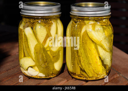 Home canned kosher Dill Pickles Stockfoto