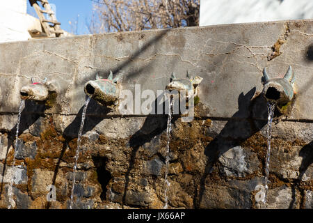 Stier Staats- Leitungen des Wandbrunnen Stockfoto