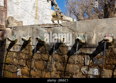 Stier Kopf Leitung des heiligen Frühling am Heiligen Muktinath Bügel Stockfoto