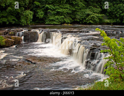 Mit Blick auf den höheren fällt bei Aysgarth Stockfoto