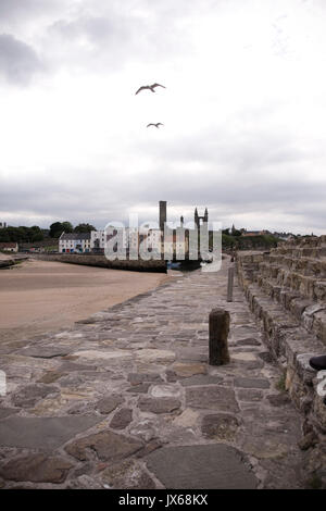Blick auf St. Andrews Pier, Fife. Stockfoto
