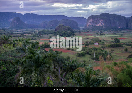 Landschaft von Viñales Stockfoto