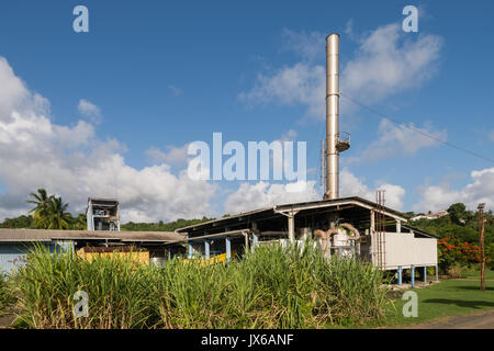 Trois Rivieres Rum Distillery in Martinique Stockfoto