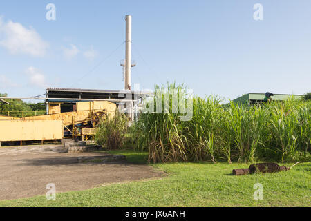 Trois Rivieres Rum Distillery in Martinique Stockfoto