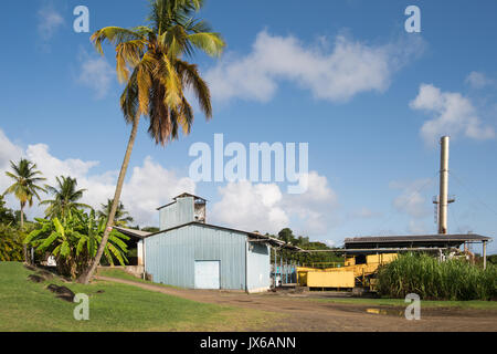 Trois Rivieres Rum Distillery in Martinique Stockfoto