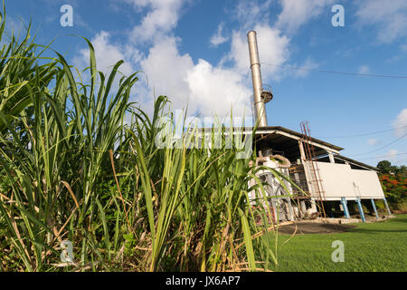 Trois Rivieres Rum Distillery in Martinique Stockfoto