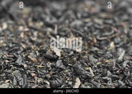 Grüner Tee Blätter closeup selektiven Fokus Stockfoto