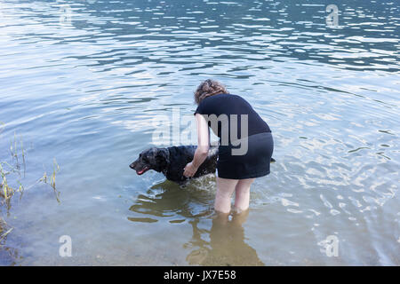 Frau Abkühlung ihren Hund am Fluss an einem heißen Tag. BC Kanada Stockfoto