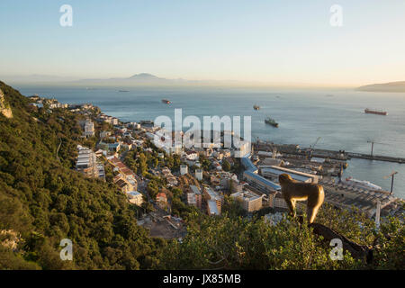 Ein Barbary macaque blickt auf sein Haus in Gibraltar, während das Atlasgebirge Nordafrikas (ihrer Heimat) sind über die Straße sichtbar. Stockfoto