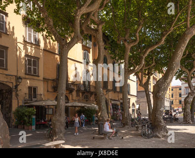 Die Menschen im Schatten der Platanen auf der Piazza Napoleone eines kleinen italienischen Stadt Lucca in Italien entspannen Stockfoto