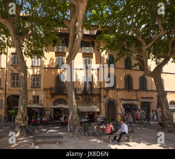 Die Menschen im Schatten der Platanen auf der Piazza Napoleone eines kleinen italienischen Stadt Lucca in Italien entspannen Stockfoto