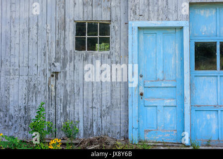 Aufgegeben am Straßenrand Scheune mit abblätternder Farbe und hell blau verblasst Türen Stockfoto