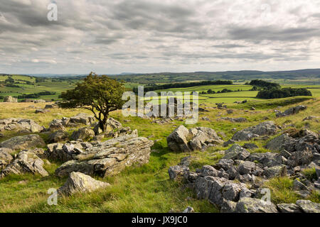 Austwick norber Findlinge in der Nähe von Yorkshire Dales Stockfoto