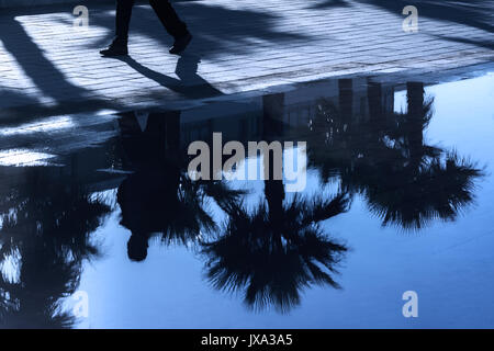 Dunkle Reflexionen von Palmen und ein Mann zu Fuß. Stockfoto