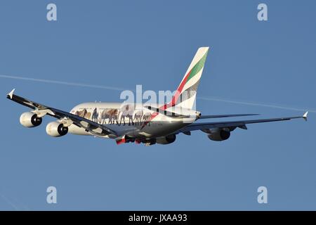 EMIRATES AIRBUS A380-800 A6-EEI MIT "UNITED FOR WILDLIFE" MARKIERUNGEN KLETTERN AUS LONDON GATWICK GEBUNDEN FÜR DUBAI Stockfoto