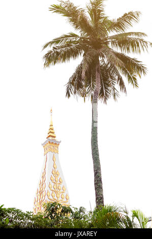 Coconut Palm Tree. der Tempel von Phra That Phanom Stupa, eines der wichtigsten buddhistischen Strukturen in der Provinz Nakhon Phanom Thailand Stockfoto