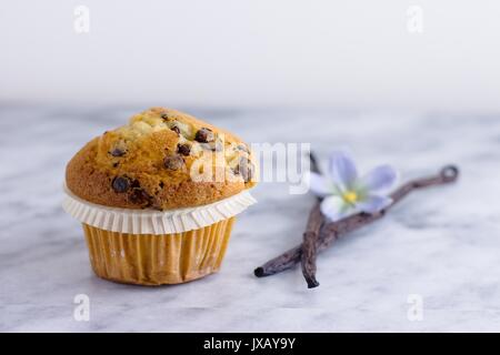 Schöne vanille Chocolate Chip muffin auf Marmor Oberfläche mit zwei Vanilleschoten Stockfoto