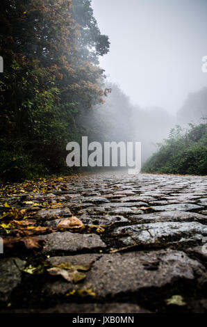 Cobbly Straße in der nebligen Wald an einem Herbsttag. Stockfoto