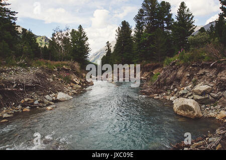 Fluss fließt zwischen Hügeln in Altai Gebirge. Altai Republik, Sibirien, Russland. Stockfoto