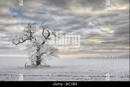 Ein Wintertag Stockfoto