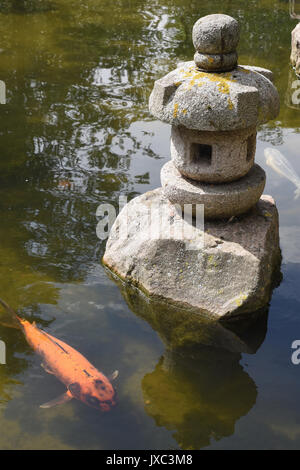 Kyoto Garten, Japanischer Garten, Holland Park, Kensington, London, Großbritannien Stockfoto