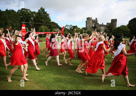 Einige der 65 internationalen Rosen gehofft, dass es bis zum Jahr 2017 International Rose Fernsehen Auswahl bei einem Fotoshooting zu machen, auf dem Gelände von Malahide Castle, Dublin. Stockfoto