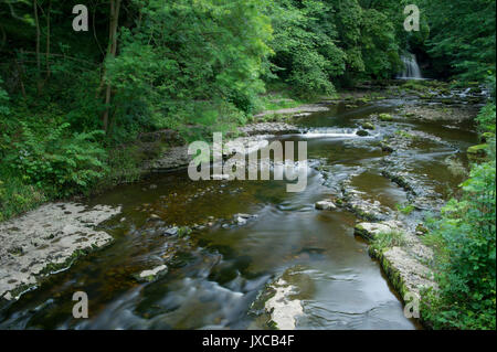 Kessel fällt Wasserfall im Dorf West Burton in der Nähe von Hawes in den Yorkshire Dales National Park, North Yorkshire, Großbritannien Stockfoto