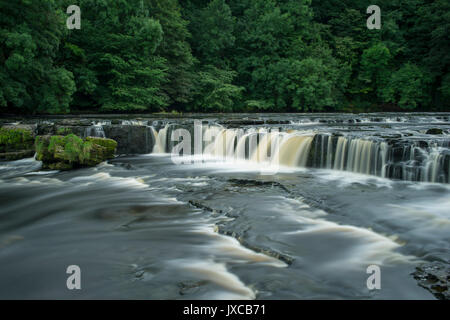 Berühmte Aysgarth fällt Wasserfall (Upper Falls) in der Nähe von Hawes, Yorkshire Dales National Park, England, Großbritannien Stockfoto