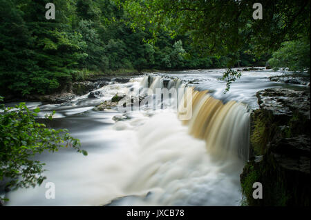Berühmte Aysgarth fällt Wasserfall (Upper Falls) in der Nähe von Hawes, Yorkshire Dales National Park, England, Großbritannien Stockfoto