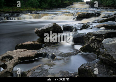 Die berühmten aysgarth fällt Wasserfall (Lower Falls) in der Nähe von Hawes in den Yorkshire Dales National Park, North Yorkshire, Großbritannien Stockfoto