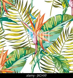 Eleganz nahtlose Muster im traditionellen Stil mit Strelitzien Blumen. EPS 10. Stock Vektor