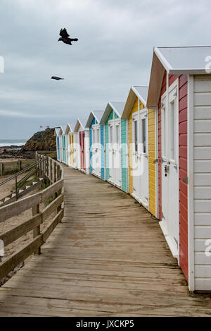 Farbenfrohe, moderne Strand Hütten zu einem traditionellen Stil an der Bude Beach gebaut, Cornwall, England. Vereinigtes Königreich. Stockfoto