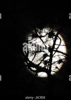 Zoom: Der Mond wird durch das Super-Zoom-Objektiv in faszinierenden Details enthüllt und zeigt Krater und Mondlandschaften in beispielloser Klarheit und kosmischer Schönheit. Stockfoto