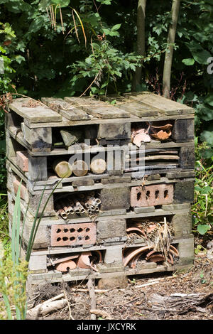 Insekten Home, die mit alten hölzernen Paletten Stockfoto