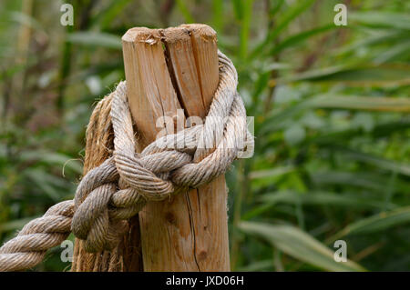 Verknotete Seil auf einer hölzernen Pfahl Stockfoto