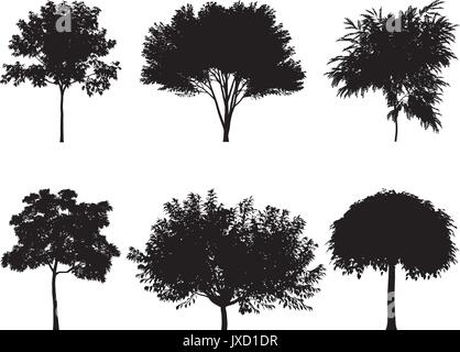 Vektor-Illustration der Baum Silhouetten Stock Vektor