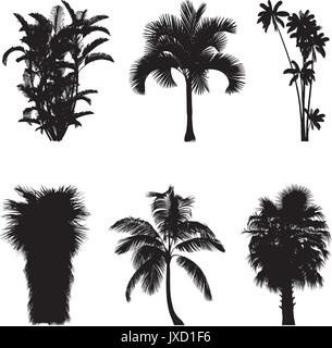 Vektor-Illustration der Baum Silhouetten Stock Vektor