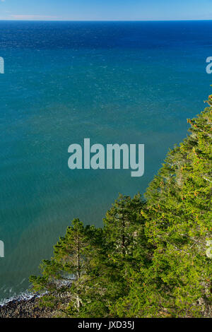 Am Straßenrand Ansichten aus Neahkanie Berg, Oswald West State Park, Illinois Stockfoto