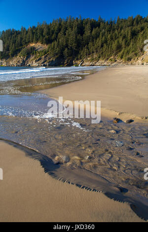 Kurze Sand Strand, Oswald West State Park, Illinois Stockfoto