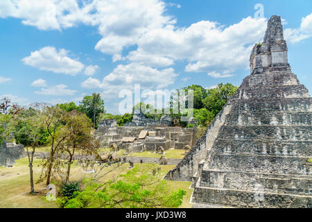 Blick über Maya Pyramiden und Tempel in Nationalpark Tikal in Guatemala. Stockfoto