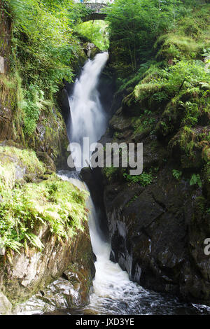 Aira tritt Wasserfall, Lake District Stockfoto