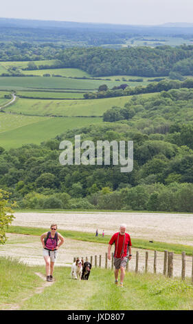 Wanderer auf dem South Downs Way zwischen Harting Downs und Pen Hill, West Sussex, England, Großbritannien Stockfoto