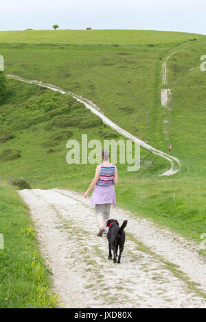 Spaziergang auf dem South Downs Way zwischen Harting Downs und Pen Hill, West Sussex, England, Großbritannien Stockfoto