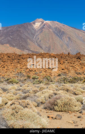 Mount Teide Vulkan gesehen von Roques de Garcia, Nationalpark Teide, Teneriffa, Kanarische Inseln, Spanien Stockfoto