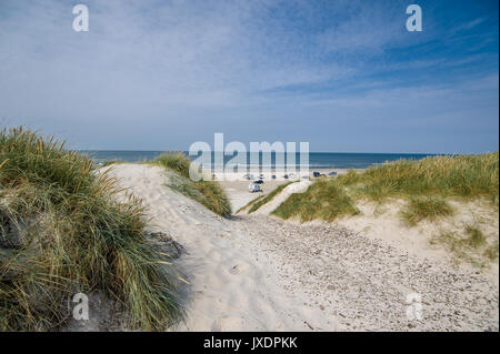 Henne Strand, Strand offen für Automobile im Süden von Dänemark Stockfoto