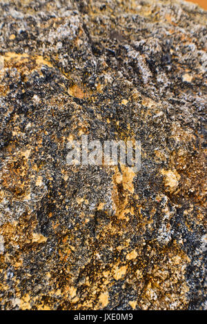 Textur auf Rock Stockfoto