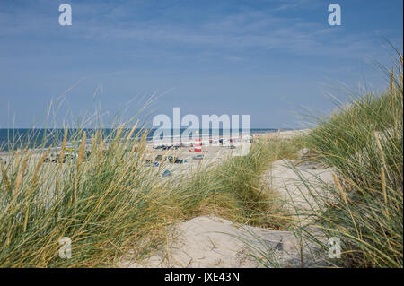 Henne Strand, Strand offen für Automobile im Süden von Dänemark Stockfoto